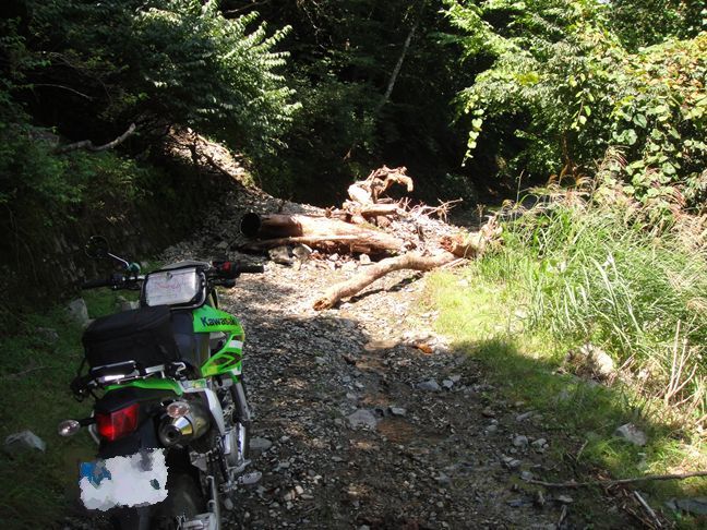 氷ノ山 志倉道谷林道 Cuteのバイクな生活 Klxとスカブー 氷ノ山 志倉道谷林道 Cuteのバイクな生活 Klxとスカブー