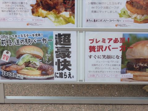 20140104_走り初め(淡路) (64)_R