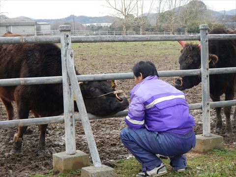 20140302_鶉野飛行場プチツー (34)_R