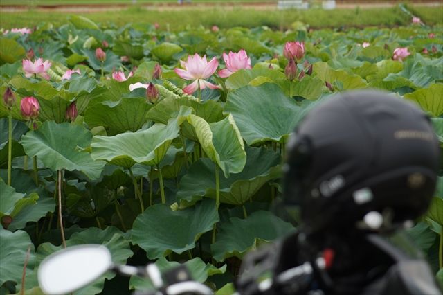 DSC06705_R