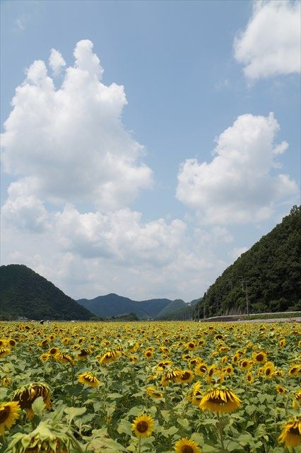 20140720_プチツー(佐用) (254)_R