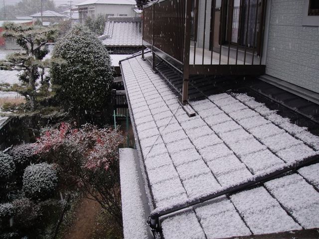 DSC00735_R