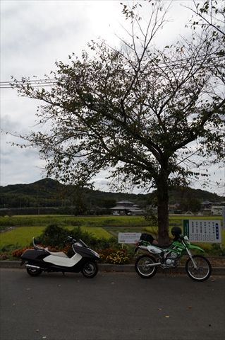 20141004_法華口ツー (74)_R