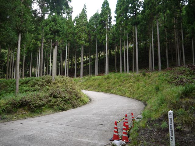 P1000907_R