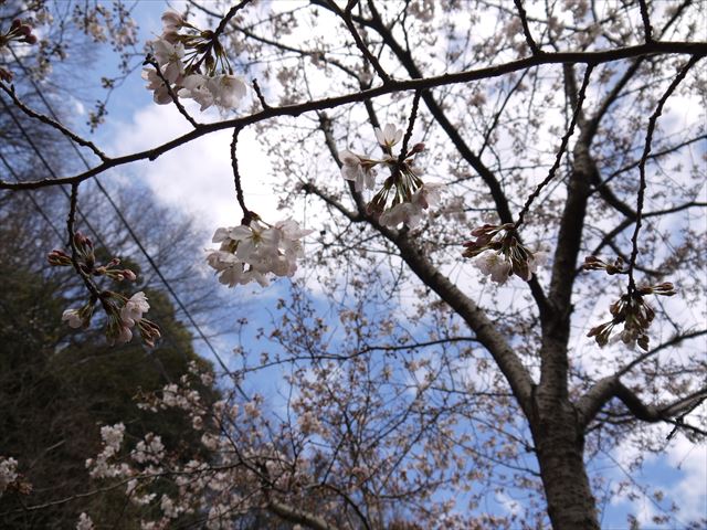 20140330_龍野プチつー (16)_R
