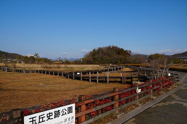 20160221_ぶらっと近場 (71)_R