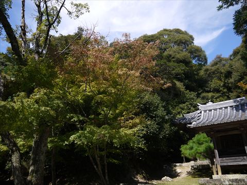 20130927_八徳山八葉寺 (63)_R