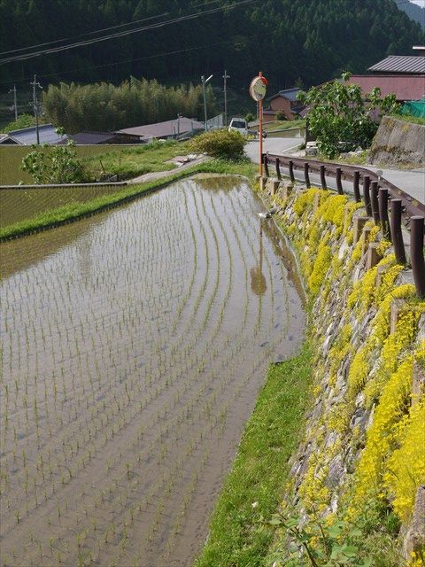 20140525P_プチツー(多可) (34)_R