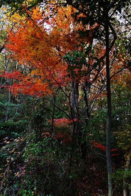 DSC07253_R