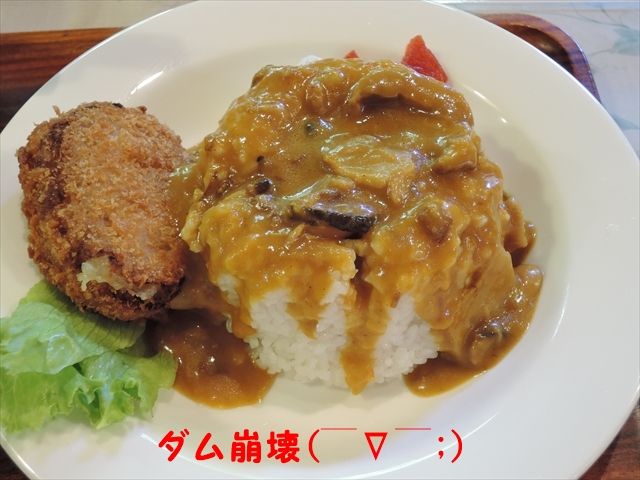 20150927_OSG生野ツー (81)_R