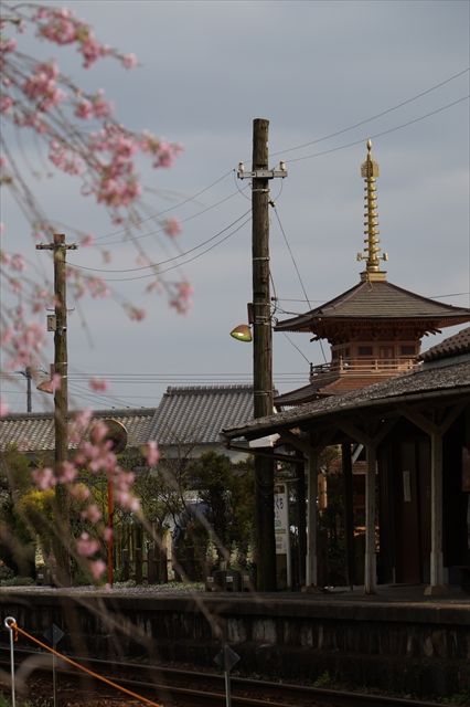 20150407_奈々入学式2 (45)_R
