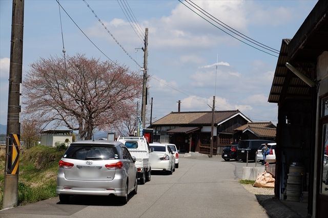 20160402_桜ツー (517)_R