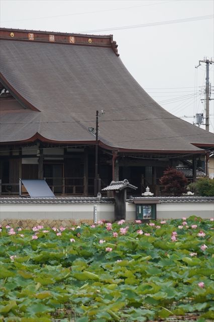 DSC06621_R