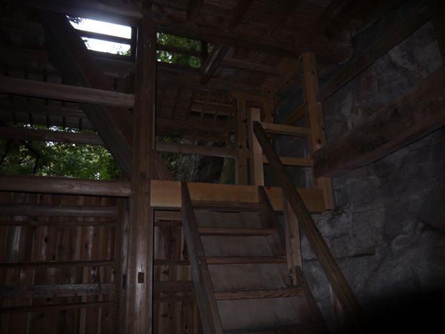 P1000880_R