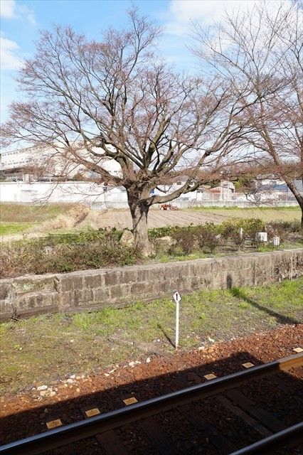 20160326_TGKツーリング (78)_R