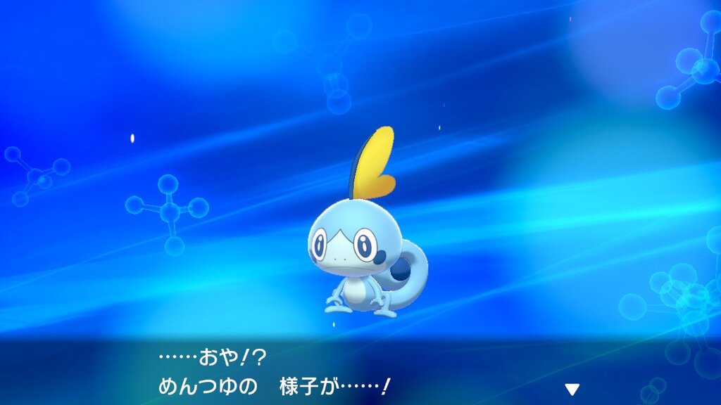 ポケモン剣 その3 1つめのジム戦 ぷっぷるの ゆるゆるゲーム録 ポケモン剣 その3 1つめのジム戦 ぷっぷるの ゆるゆるゲーム録