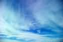 空16