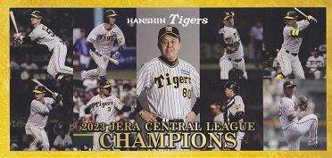 2023 阪神タイガース セントラル・リーグ優勝記念入場券 : 厚紙散歩