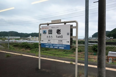 taro52