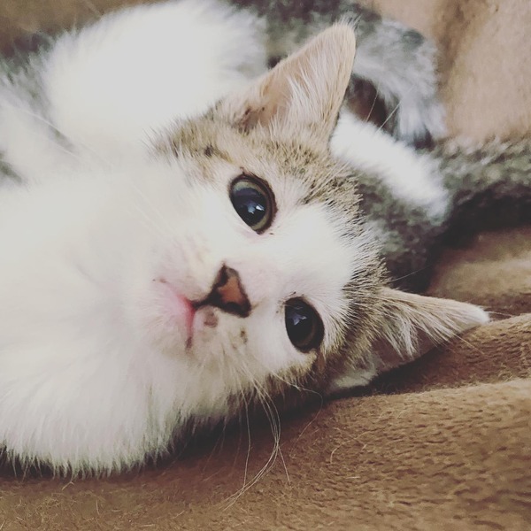 208204317_362022388616486_6620687138020258309_n