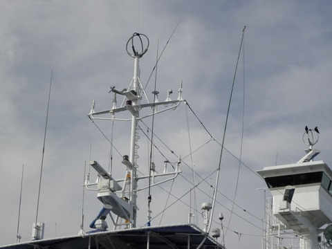 11707705_450659698446655_2354496584827360099_o