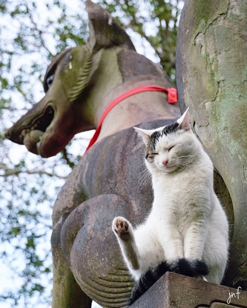 186558422_2581823375275056_1948858553707434190_n