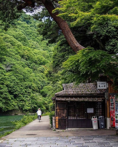 186566656_320786859417323_7293464118022027346_n