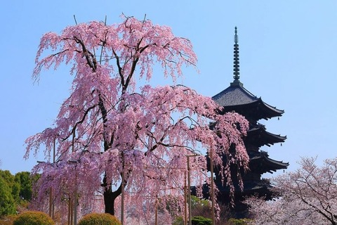 186979357_806518056649053_5339035450740208731_n