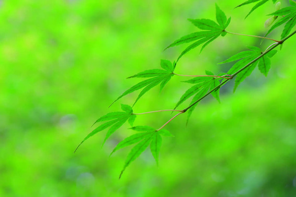 206680399_3768017580089384_6424354382483031174_n