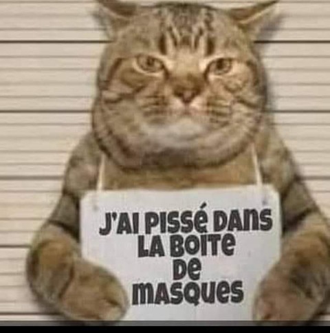 188724054_4314269605304157_2997835650260210143_n