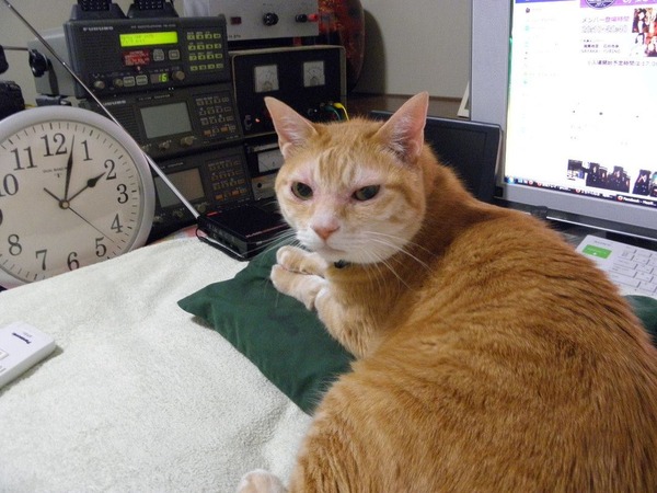 19143188_767590983420190_8877968319912757608_o