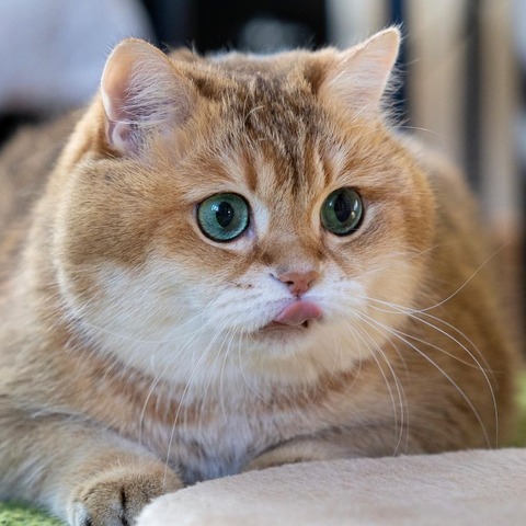 185119948_351840169638950_7248638293745720145_n