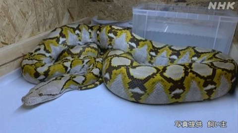 K10013045901_2105221709_2105221710_01_02