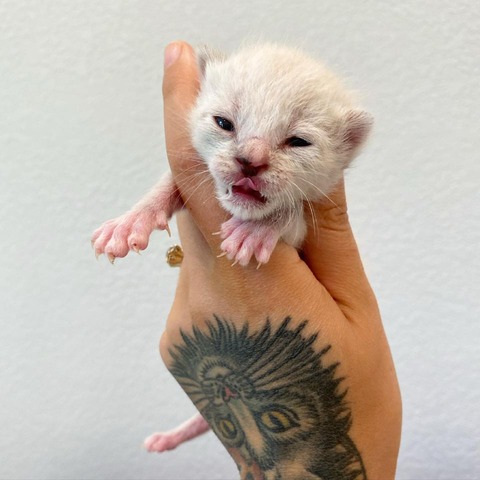 181595432_313515086810183_6716068752087372747_n