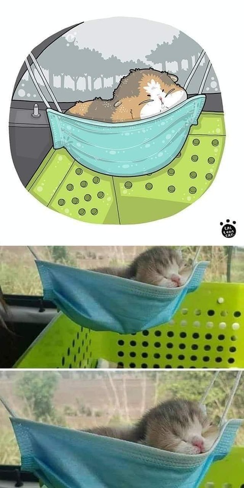 186470728_138217905009740_298129146923014558_n