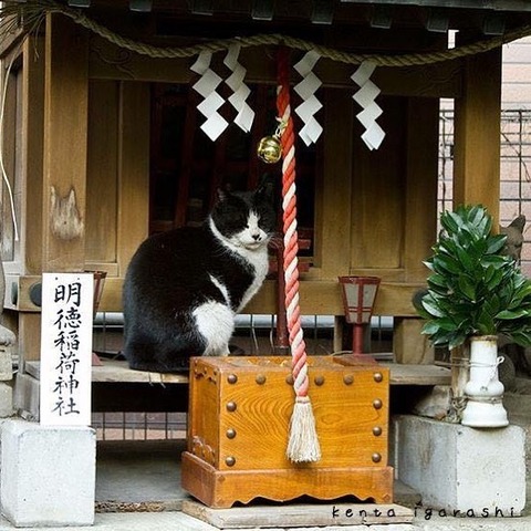 183078078_327964638683724_587058158317281740_n