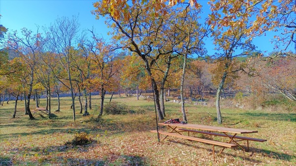 259076580_10222628016142716_7107334033776225398_n