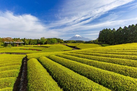 183823163_2671223256501918_4523248776472995488_n