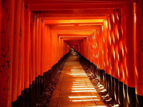 187972658_479087999977794_7023682254566313935_n