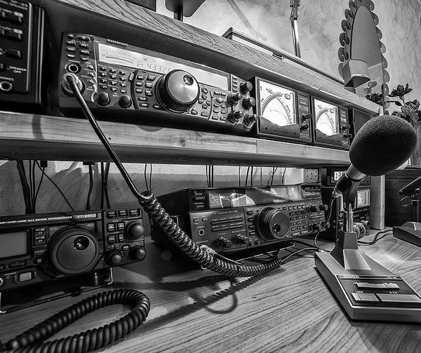 241264383_4797256583627288_8425549356511653840_n