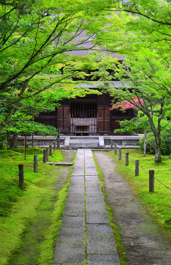 204751952_3768017330089409_3139849675632412457_n