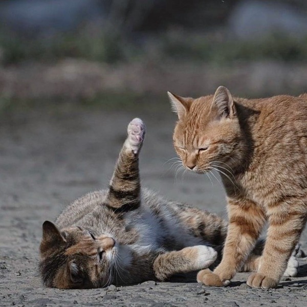 207086644_2676159549174771_1897447184589311731_n