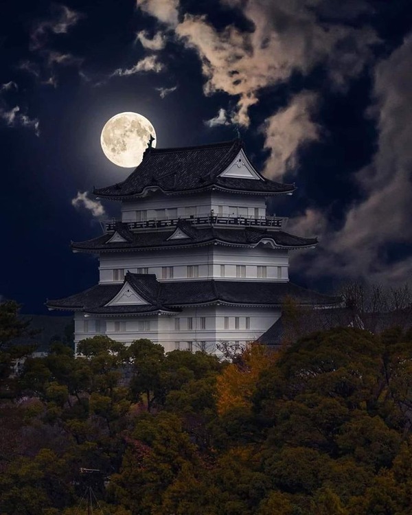 242524394_1808560369352259_1149070403484482719_n