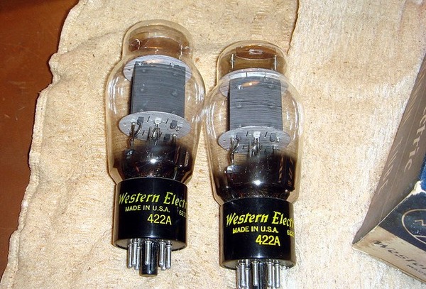 522902_505535669457948_79272813_n