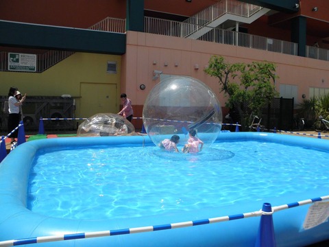 13235529_575075129338444_1950971863694649697_o