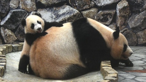 186461907_3936250426470121_2784090090265850709_n