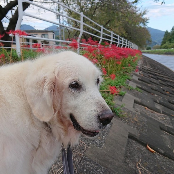 242801282_4286926101363015_271334887762692717_n