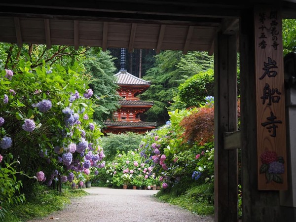 207176459_2944515035877021_6900848658036735511_n