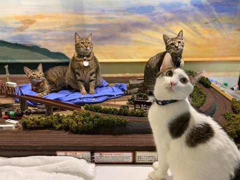 189351508_2589101024547428_5145941511843472485_n