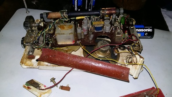 117233399_2632410763663518_2253964793052466734_n